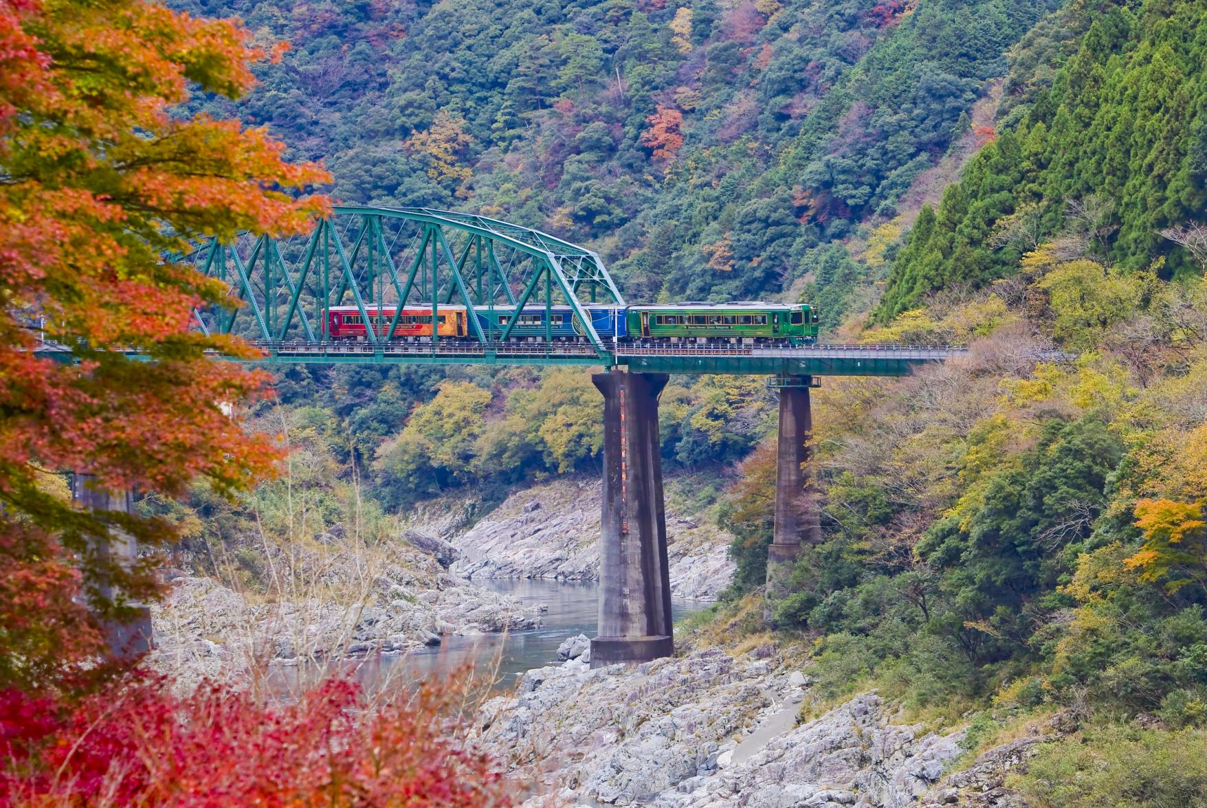 在瀨戶內海遇見安藤忠雄